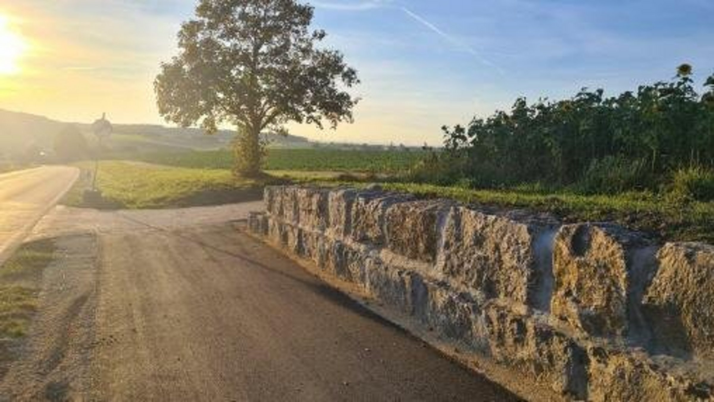 Radweg entlang der K7365 zwischen Beuren und Illerrieden